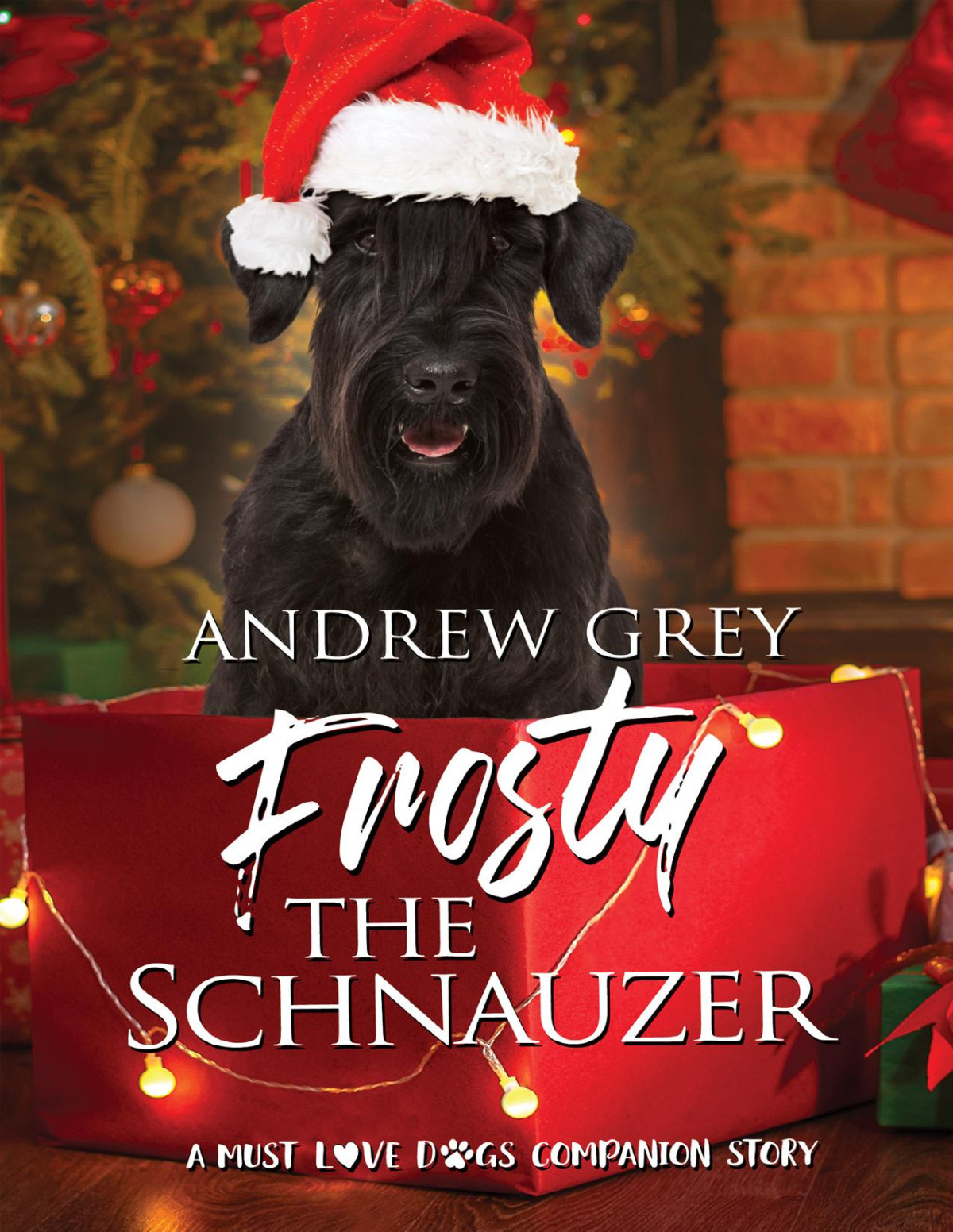 Frosty The Schnauzer Must Love Dogs Andrew Grey