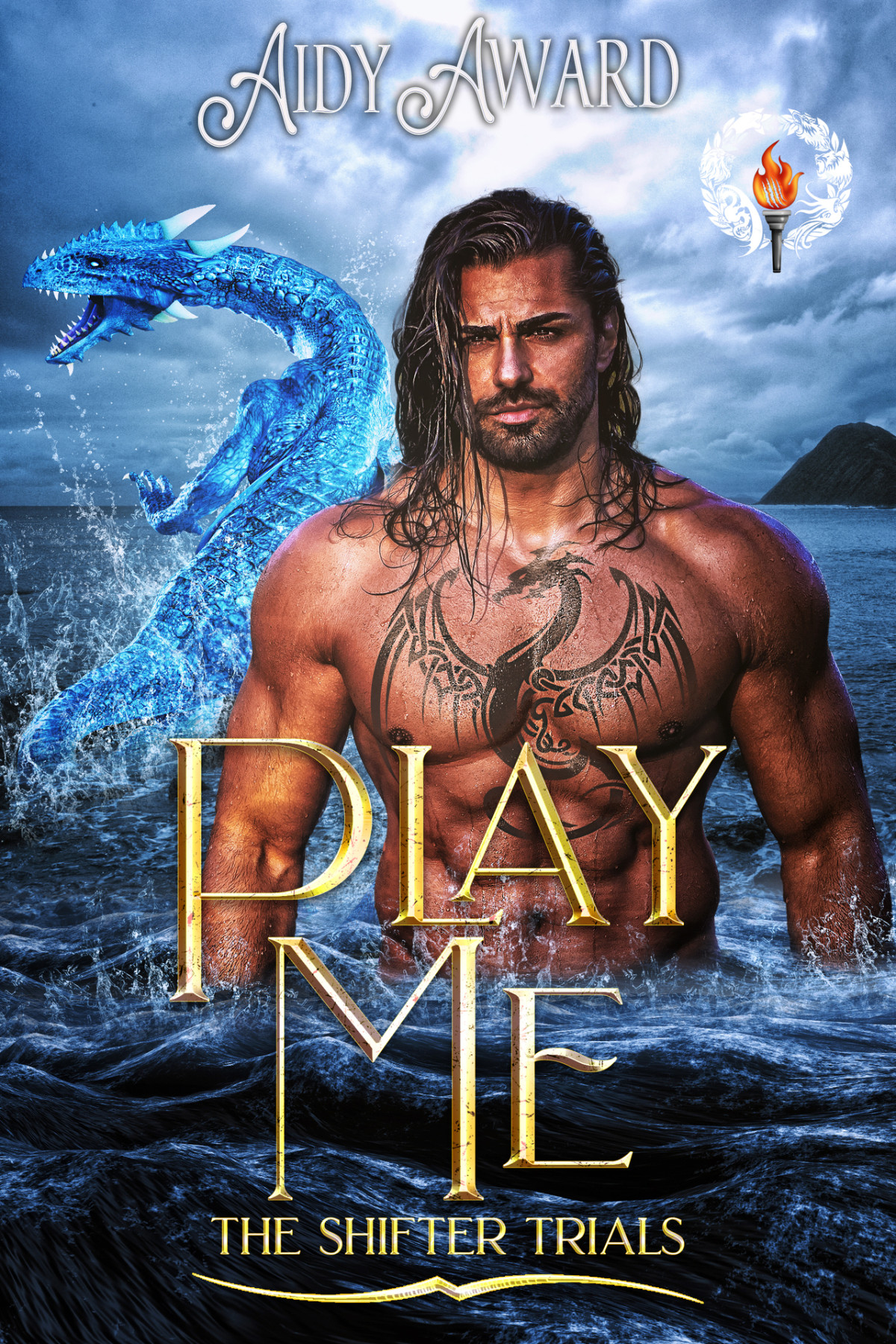 Play Me Dragons Love Curves Book 10 Award Aidy