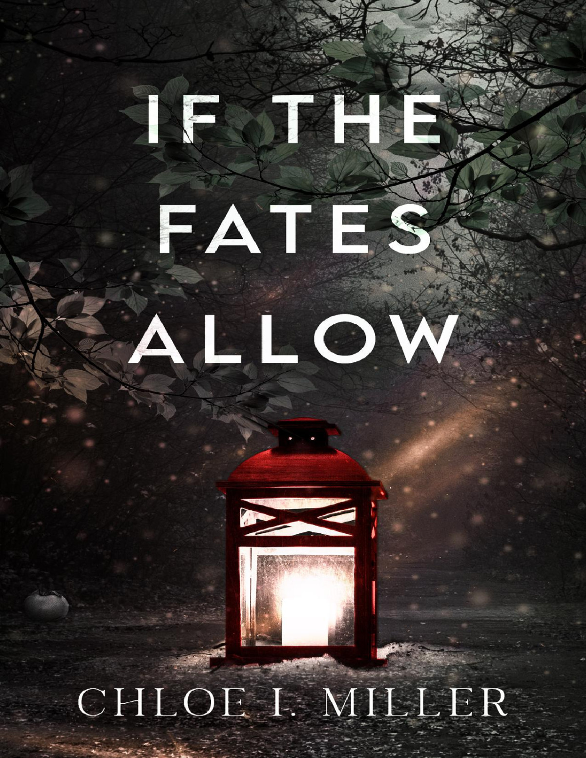 If The Fates Allow A Historical Gothic Holiday Romance Novella Haven House Chloe I Miller