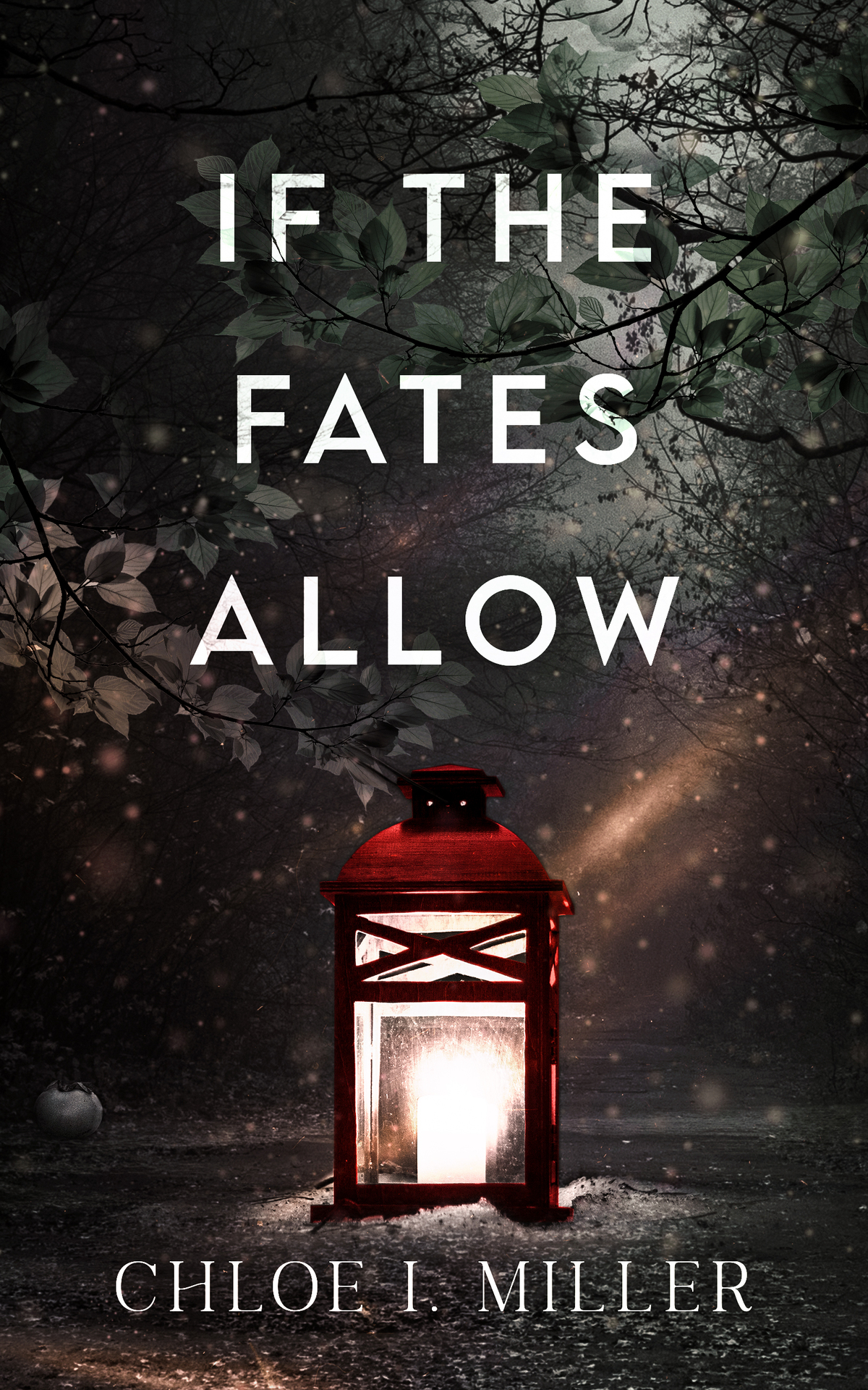 If The Fates Allow A Historical Gothic Holiday Romance Novella Haven House Chloe I Miller