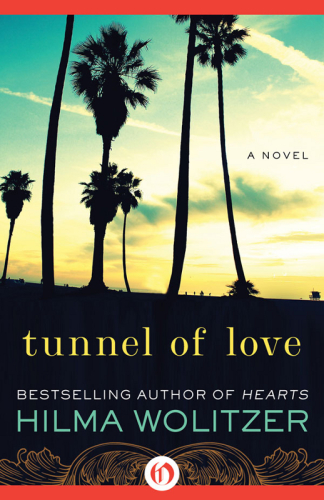Tunnel Of Love Wolitzer Hilma