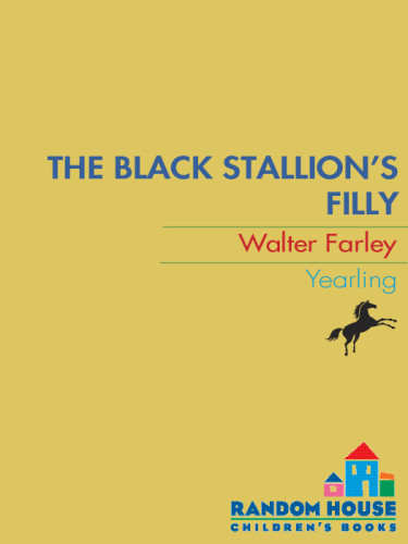 The Black Stallions Filly Walter Farley