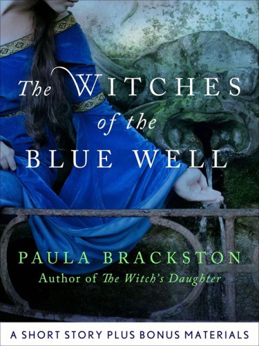 The Witches Of The Blue Well Brackston Paula