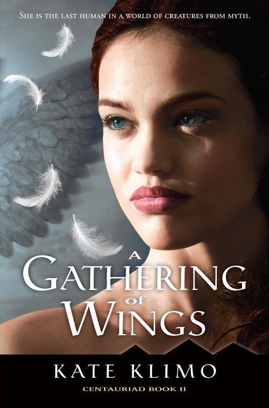 A Gathering Of Wings Klimo Kate