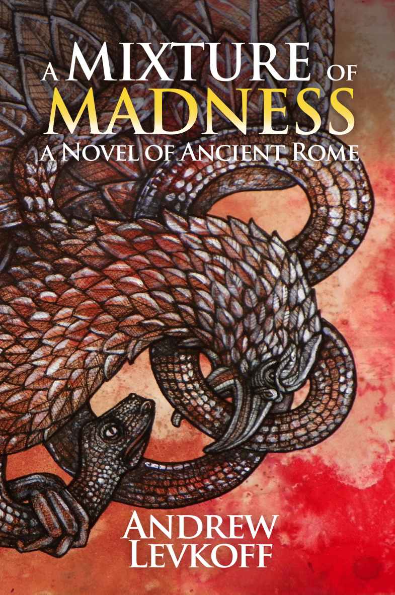 A Mixture Of Madness Levkoff Andrew