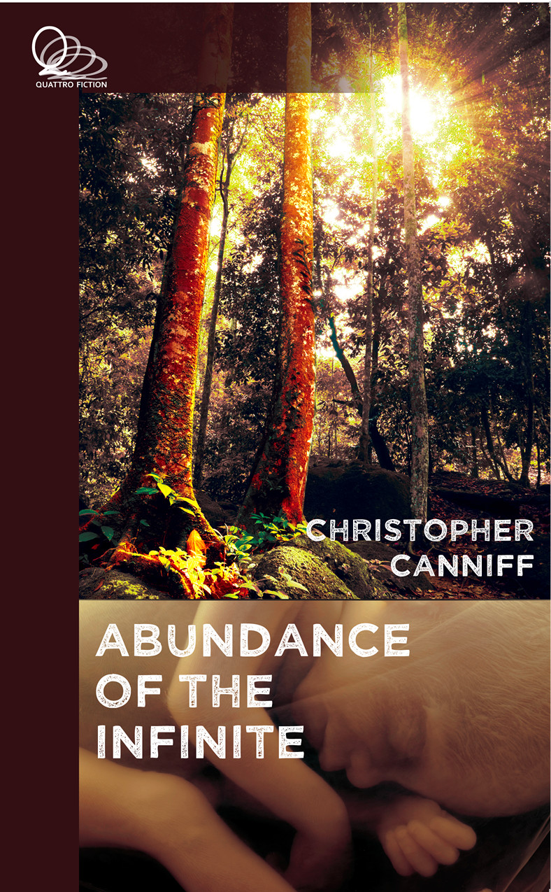 Abundance Of The Infinite Canniff Christopher