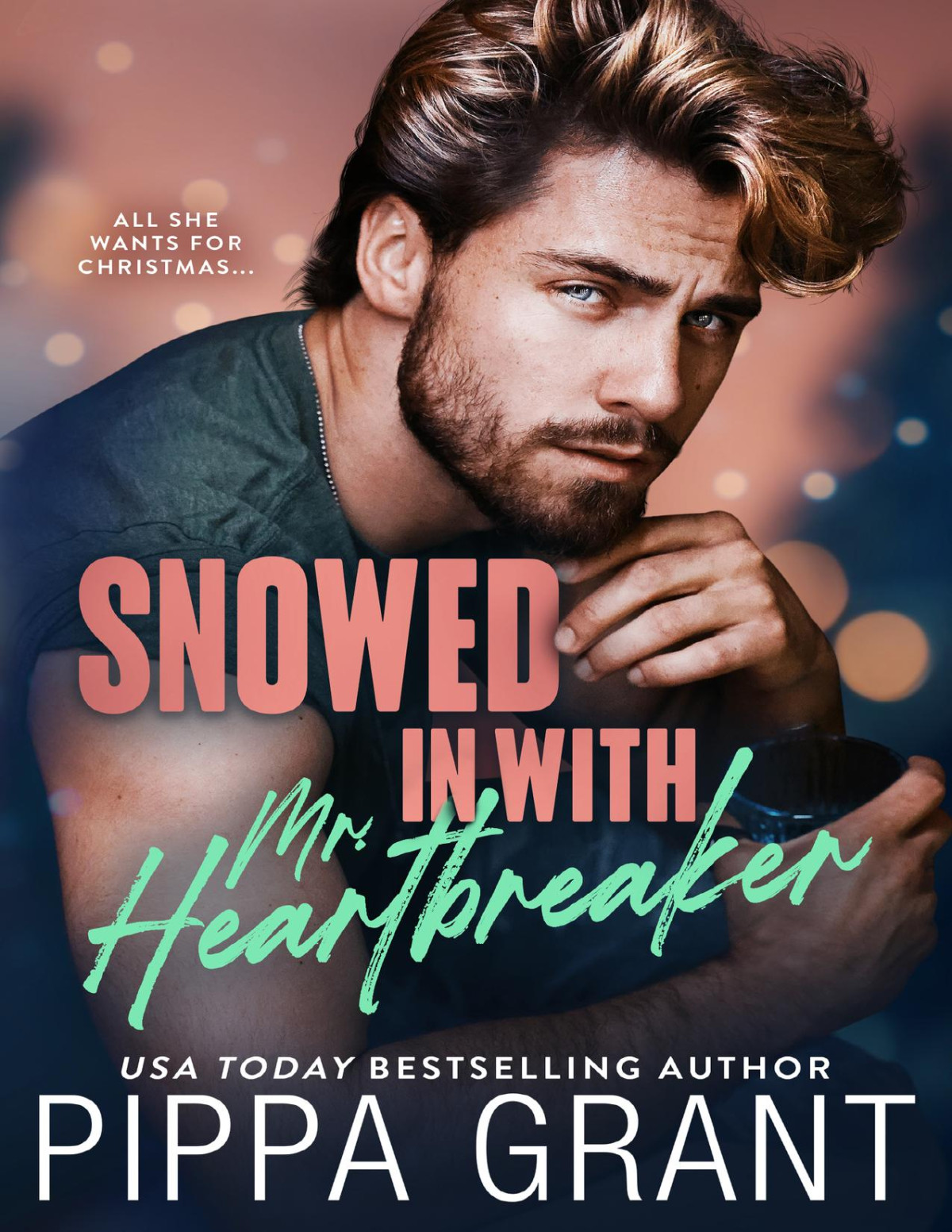 Snowed In With Mr Heartbreaker Copper Valley Bro Code Book 5 Pippa Grant