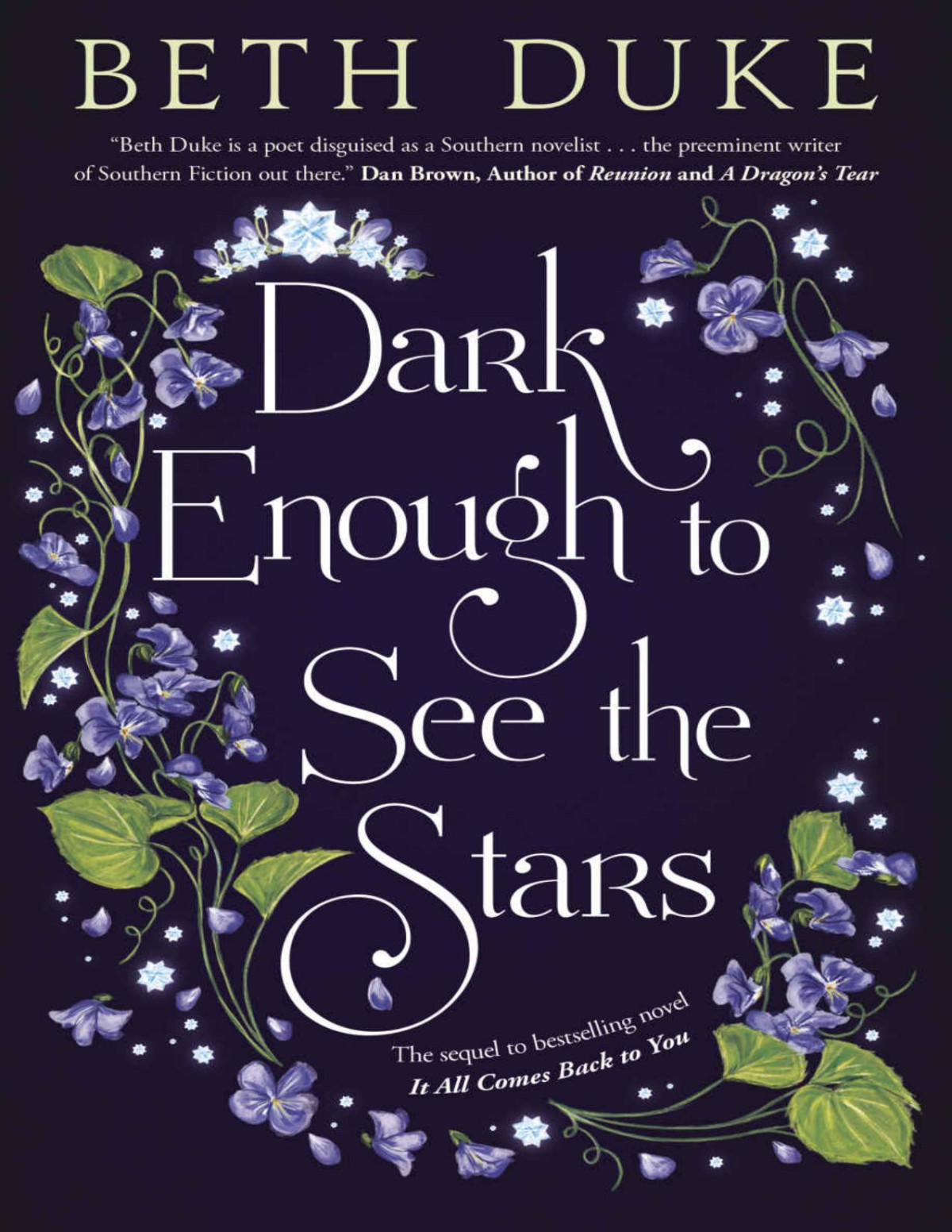 Dark Enough To See The Stars It All Comes Back To You Book 2 Beth Duke