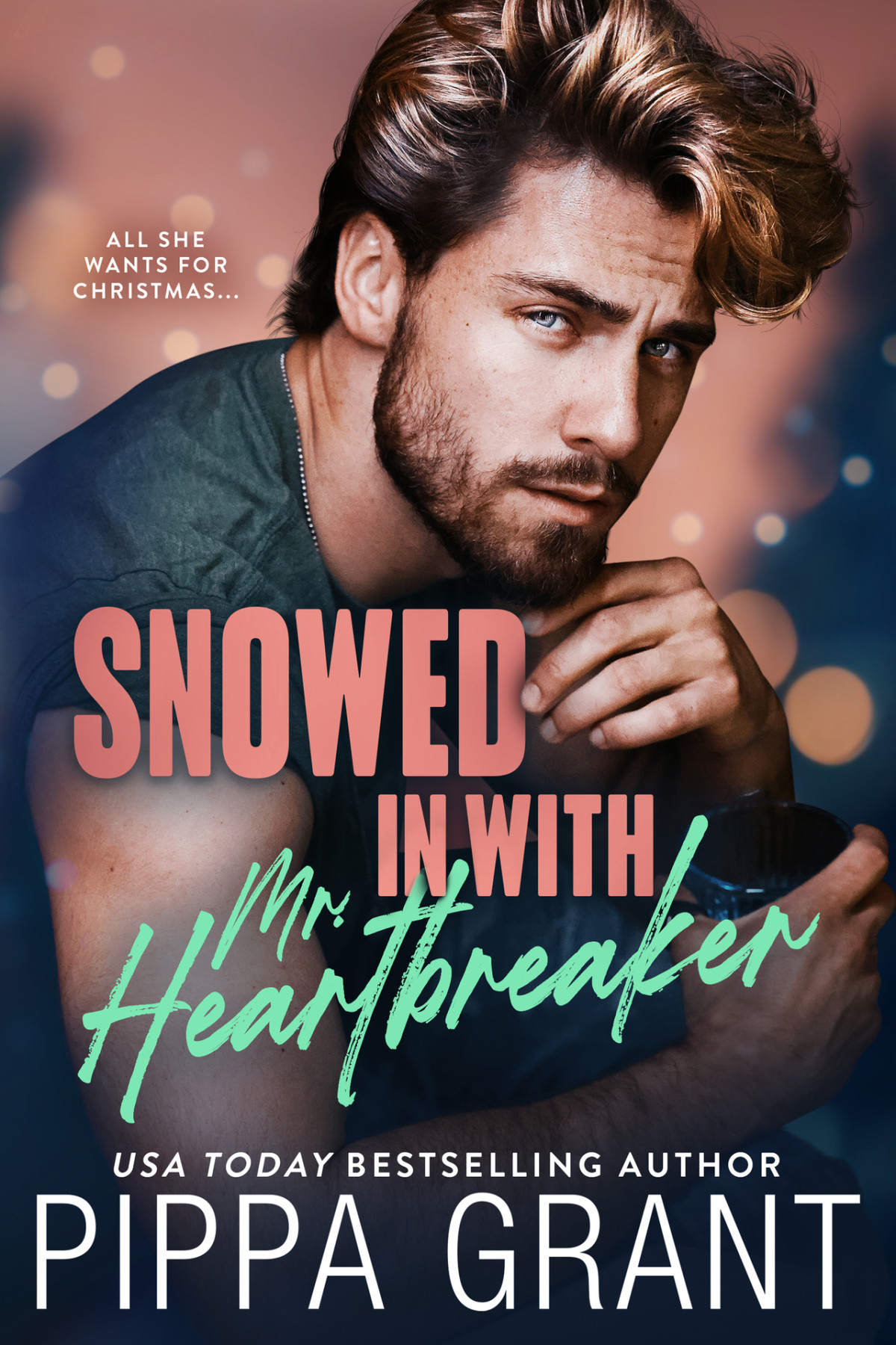 Snowed In With Mr Heartbreaker Copper Valley Bro Code Book 5 Pippa Grant