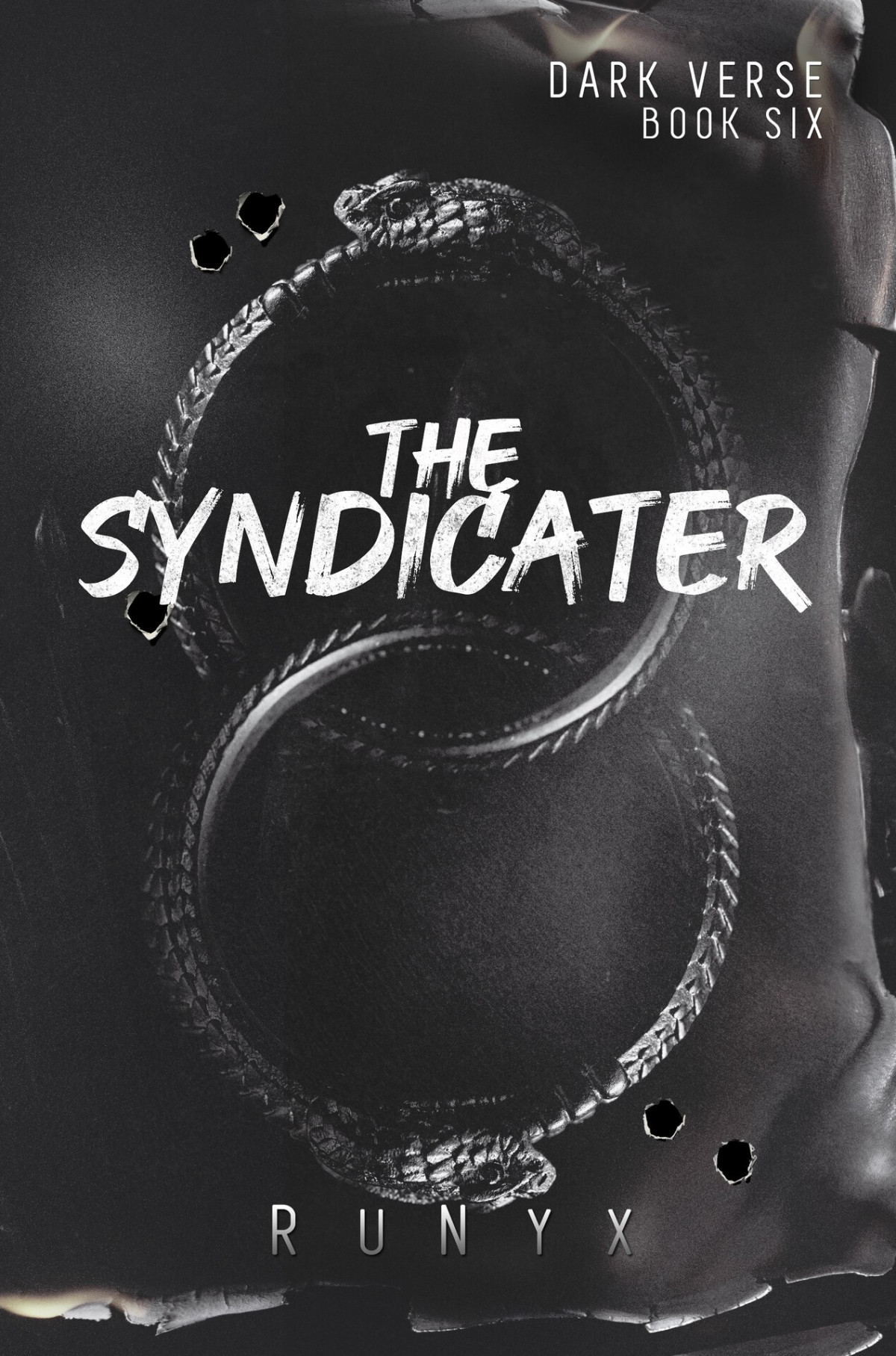 The Syndicater A Dangerous Dark Romance Dark Verse Book 6 Runyx