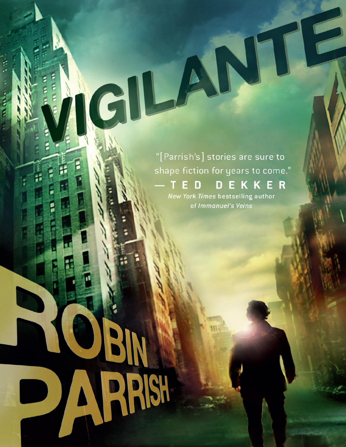 Vigilante Robin Parrish