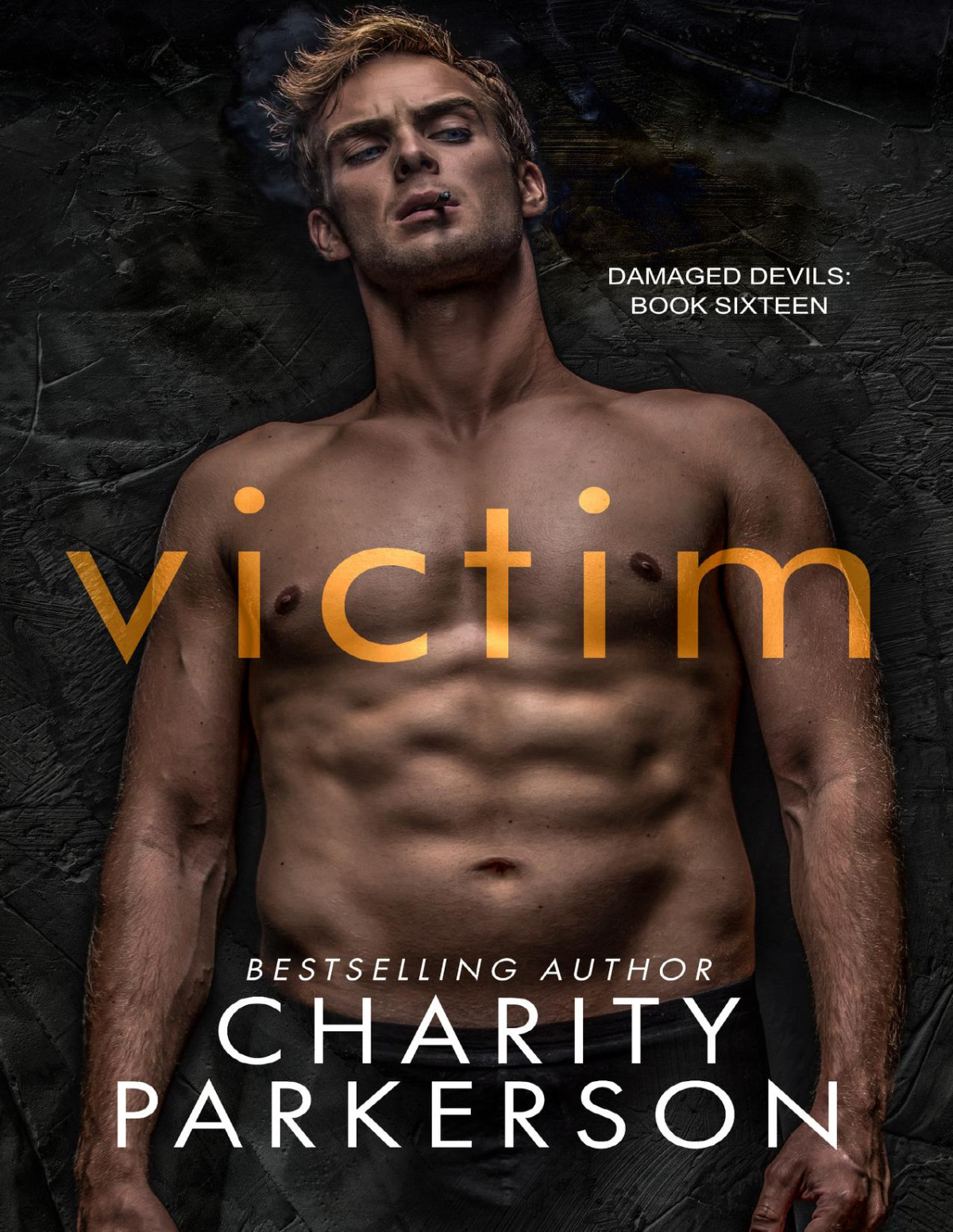 Victim Damaged Devils Book 16 Charity Parkerson