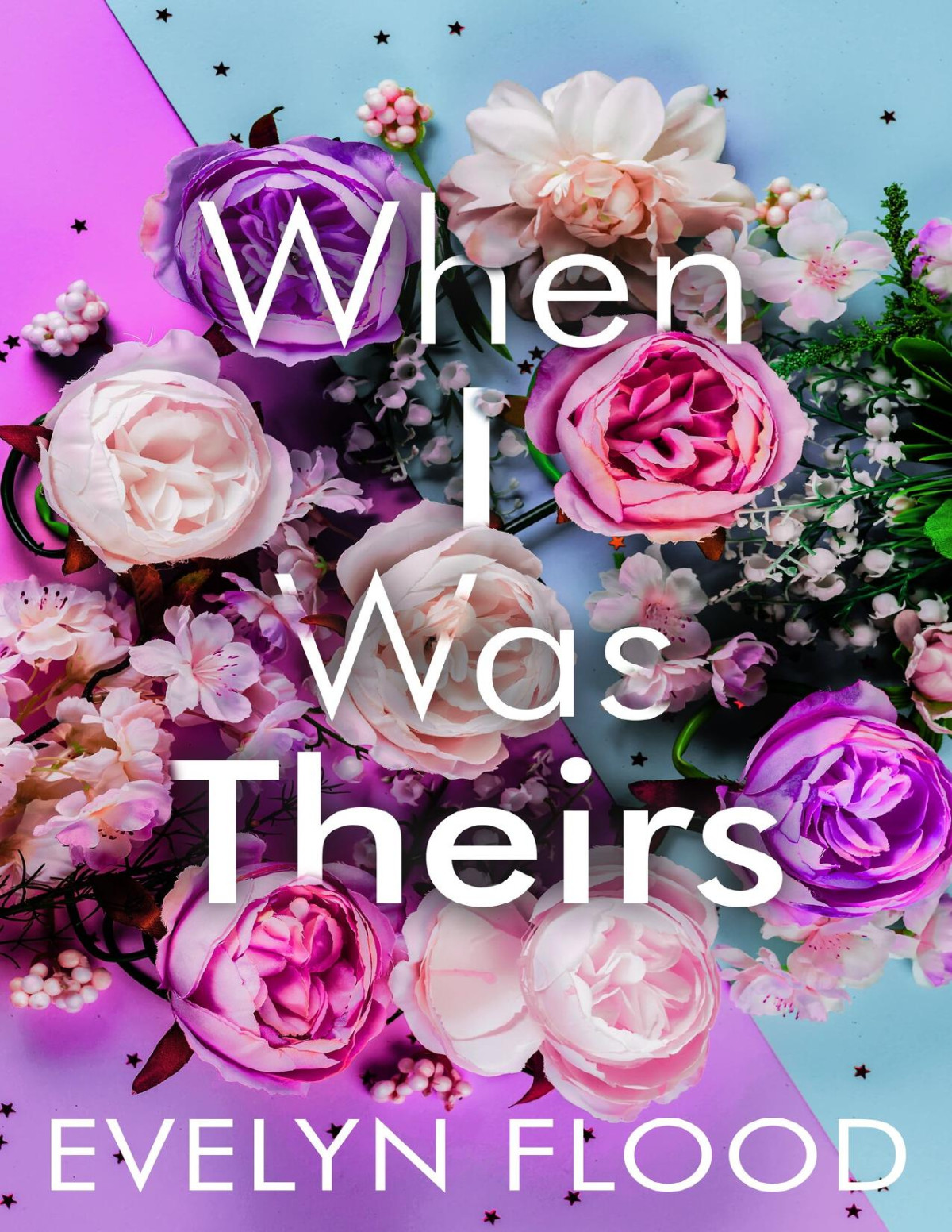 When I Was Theirs Evelyn Flood