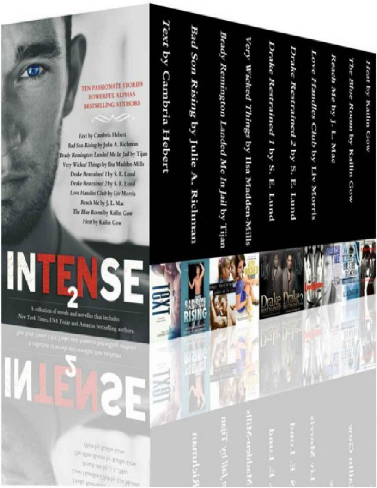 Intense 2 Cambria Hebert Julie A Richman Tijan Ilsa Maddenmills S E Lund Liv Morris J L Mac Kailin Gow