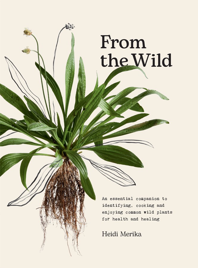 From The Wild An Essential Companion To Identifying Cooking And Enjoying Common Wild Plants For Health And Healing Heidi Merika