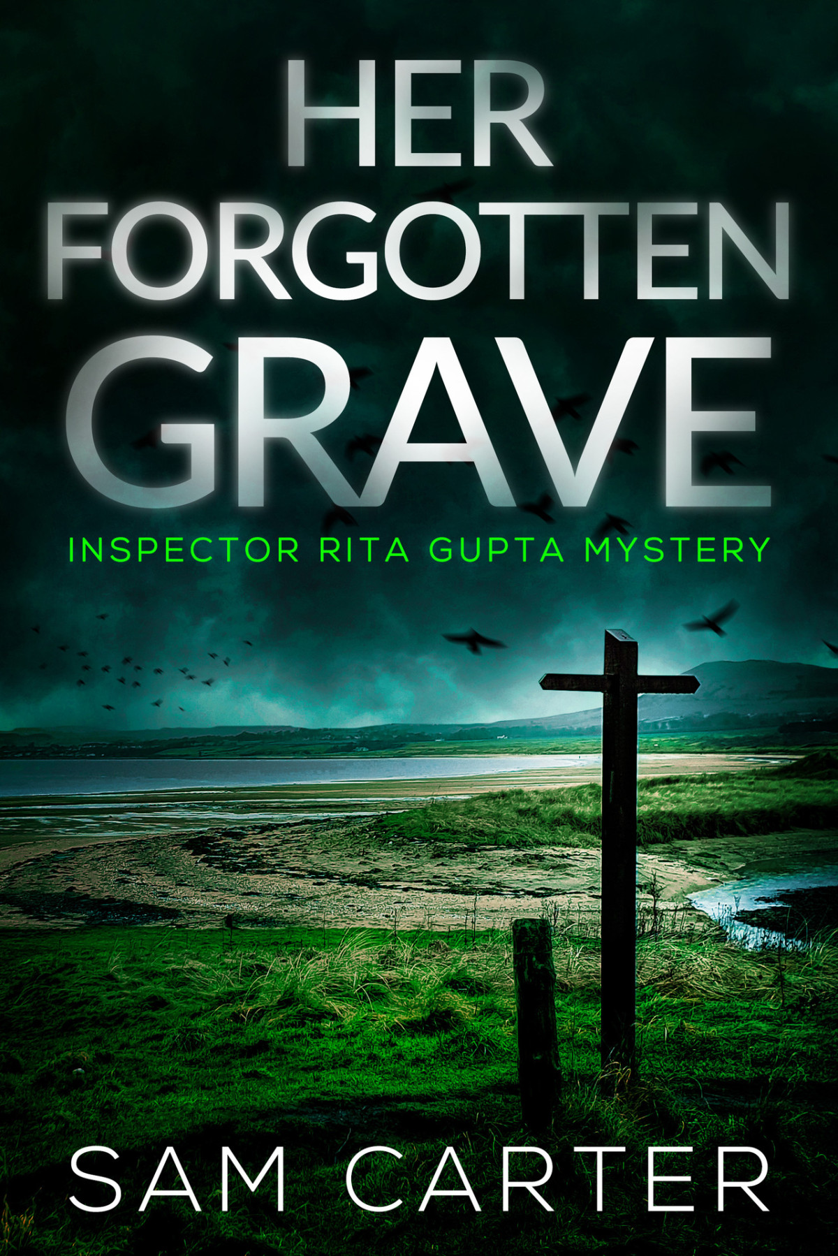 Her Forgotten Grave Inspector Rita Gupta Mystery 1 Sam Carter