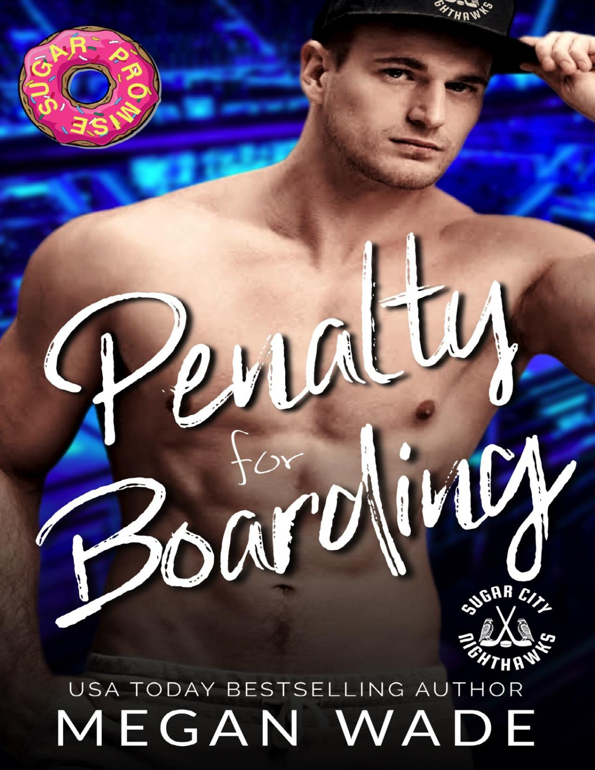Penalty For Boarding A Bbw Hockey Romance Curves On Ice Book 3 Megan Wade