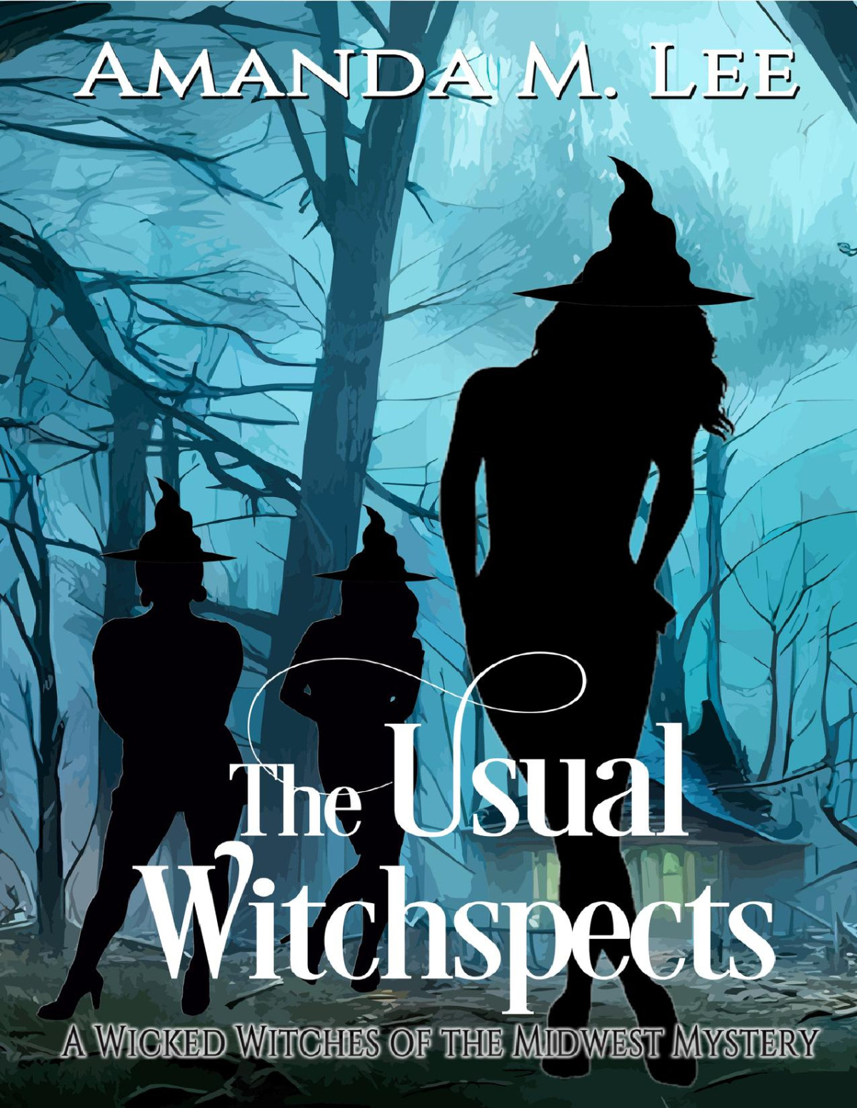 The Usual Witchspects Wicked Witches Of The Midwest Book 25 Amanda M Lee