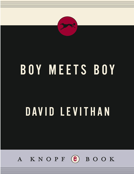 Boy Meets Boy David Levithan