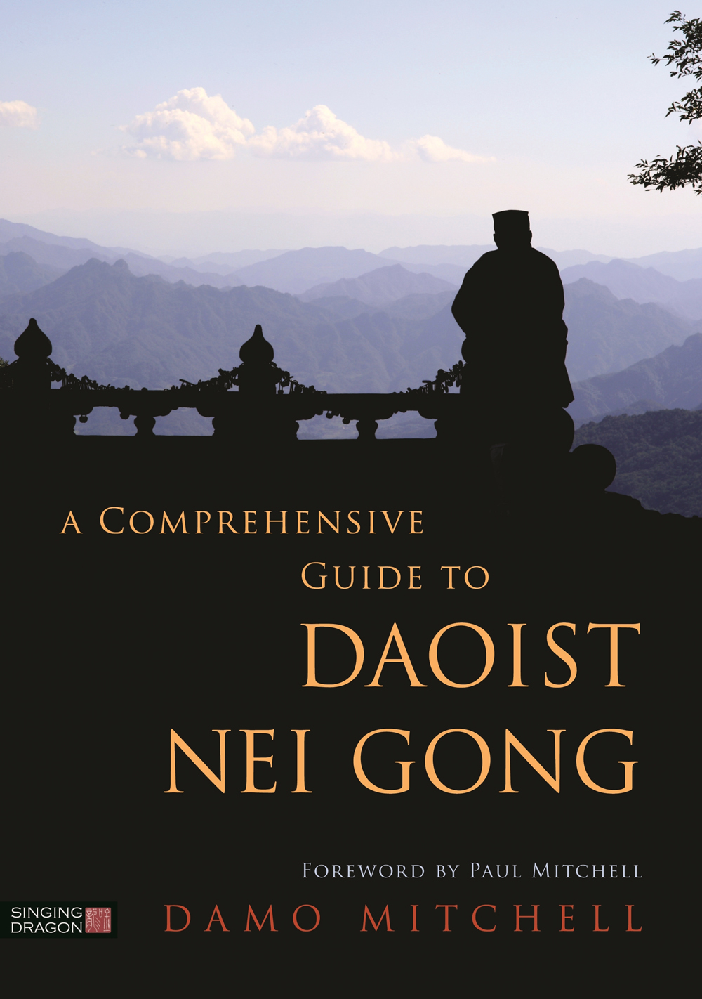 A Comprehensive Guide To Daoist Nei Gong Damo Mitchell