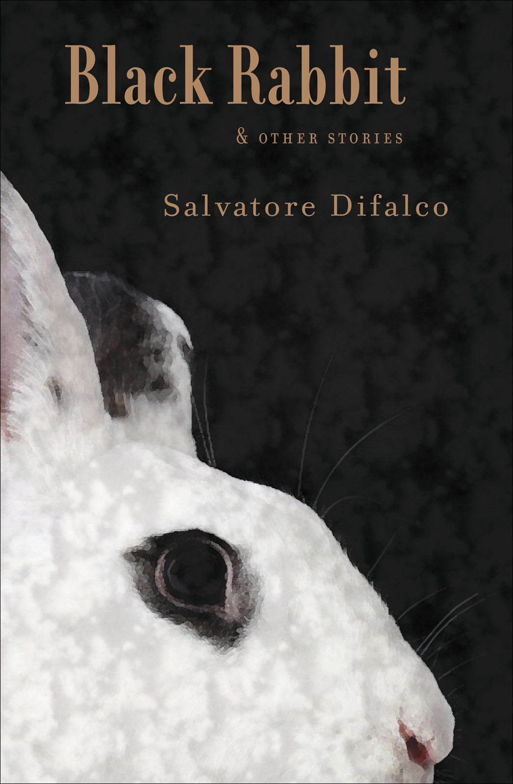 Black Rabbit And Other Stories Difalco Salvatore