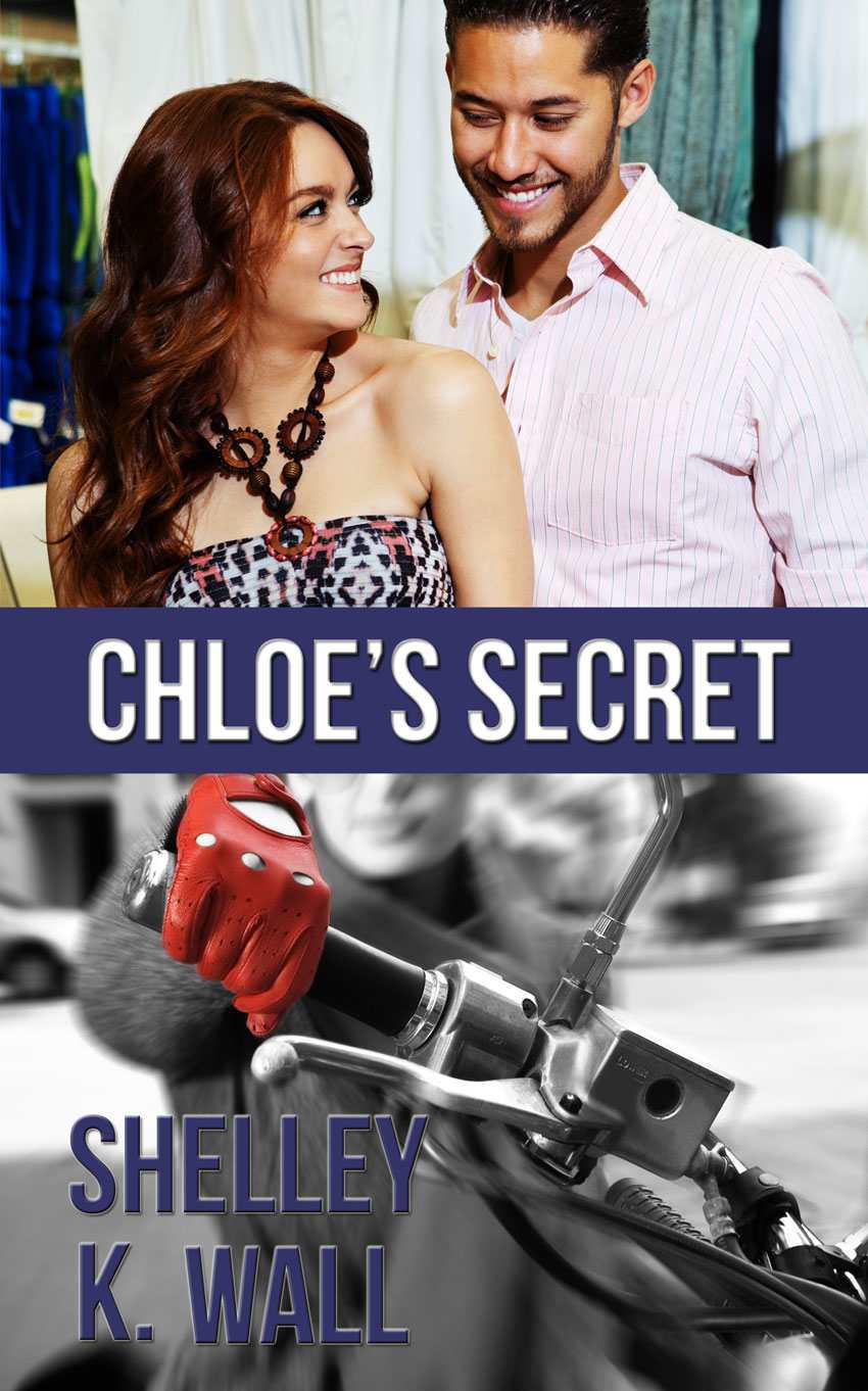 Chloes Secret Wall Shelley K