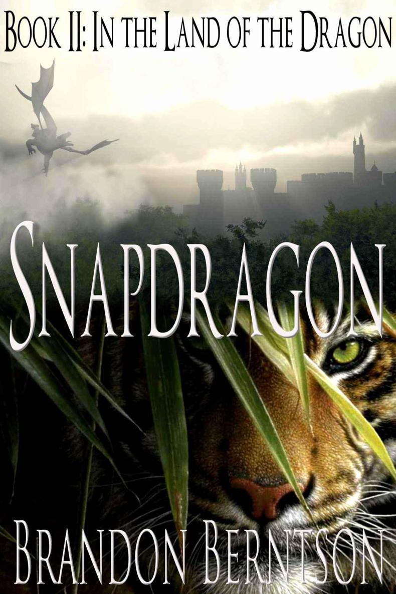 In The Land Of The Dragon Berntson Brandon
