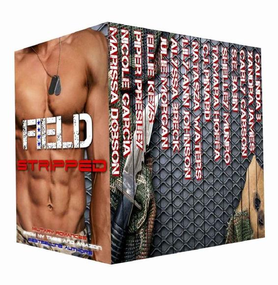 Field Stripped 15 Steamy Military Romances Dobson Marissa Breck Alyssa Morgan Julie Waters Natasza