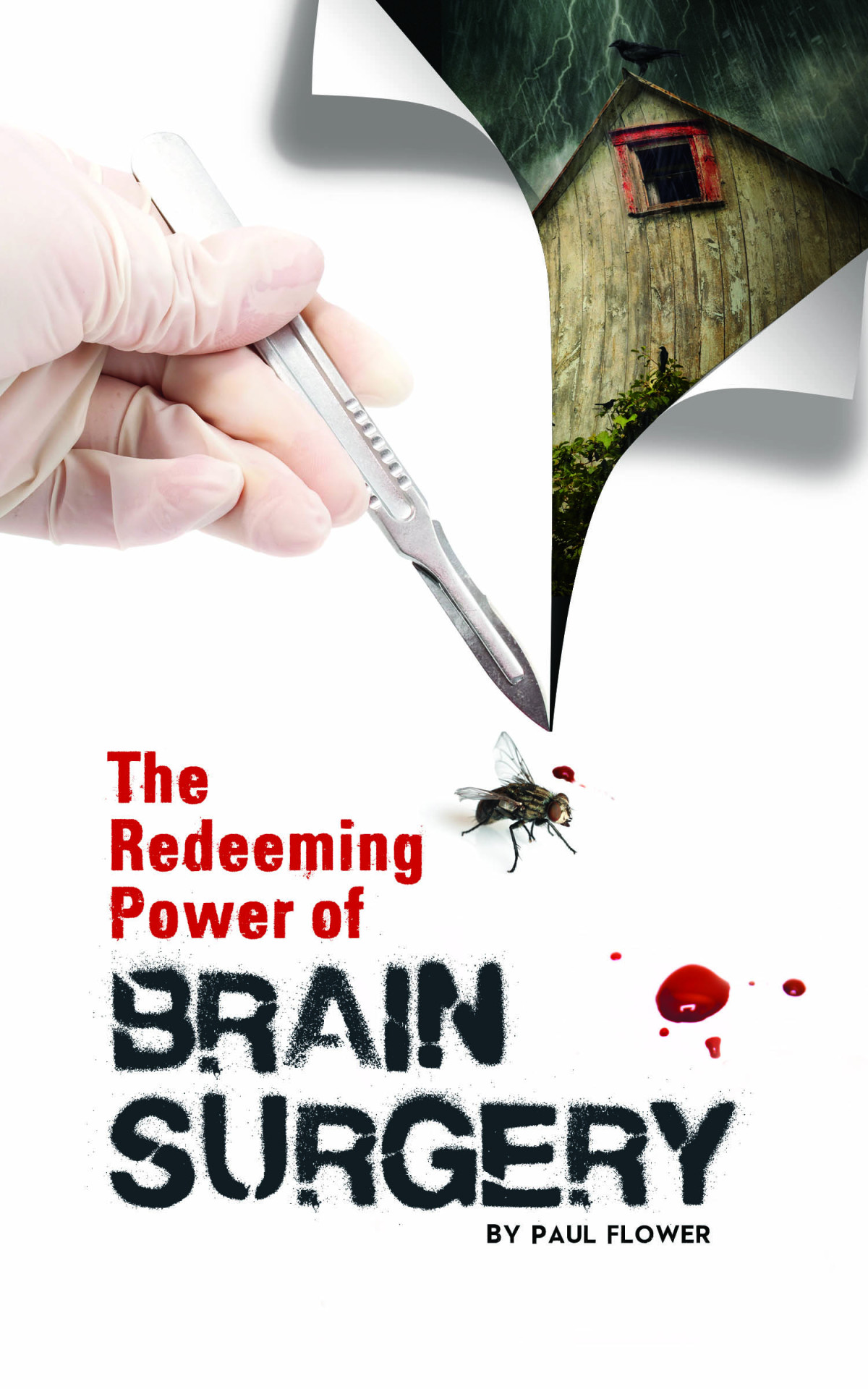 The Redeeming Power Of Brain Surgery Flower Paul