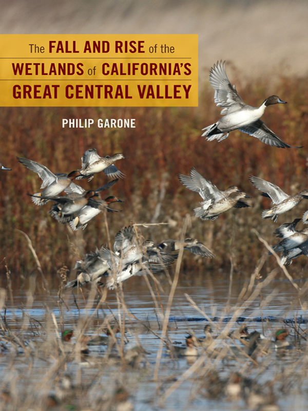 Fall And Rise Of The Wetlands Of Californias Great Central Valley Garone Philip