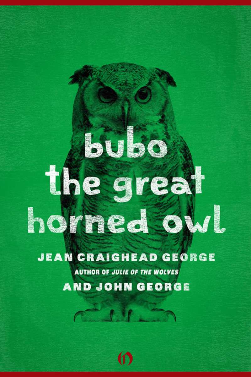 Bubo The Great Horned Owl George Jean Craighead George John