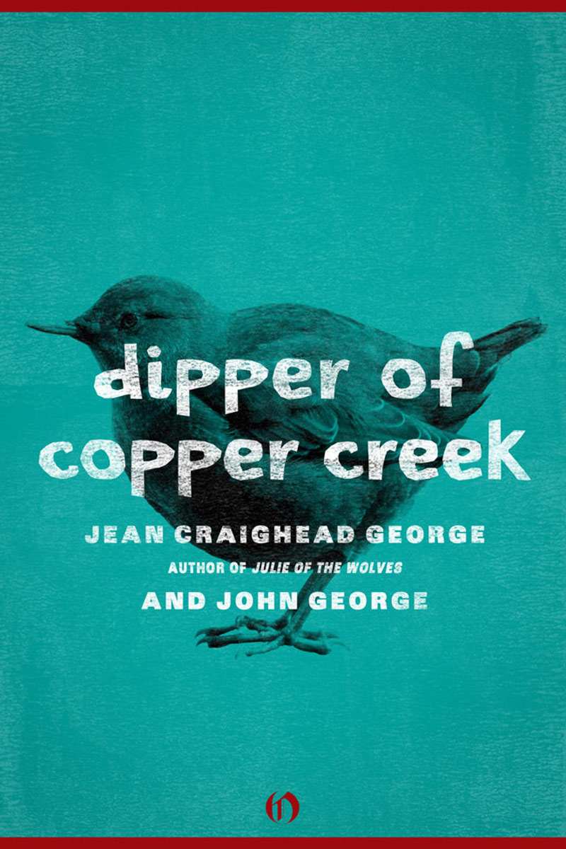Dipper Of Copper Creek George Jean Craighead George John
