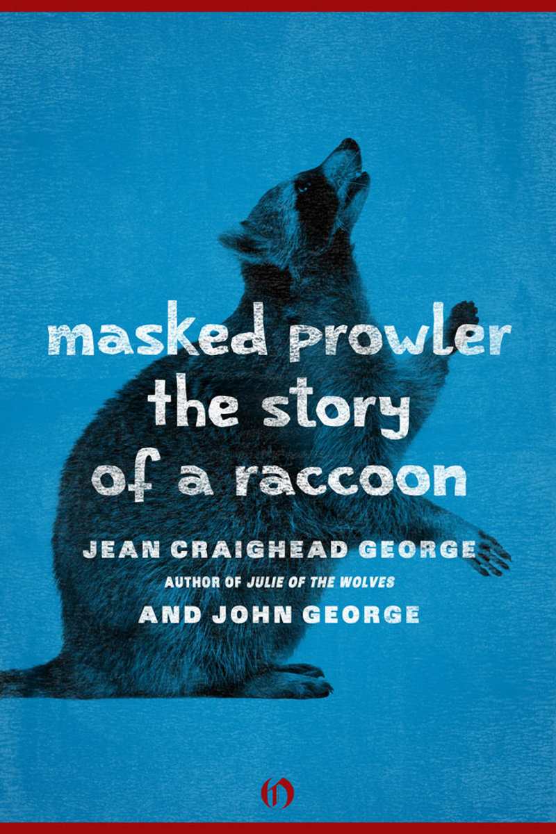 Masked Prowler The Story Of A Raccoon George Jean Craighead George John