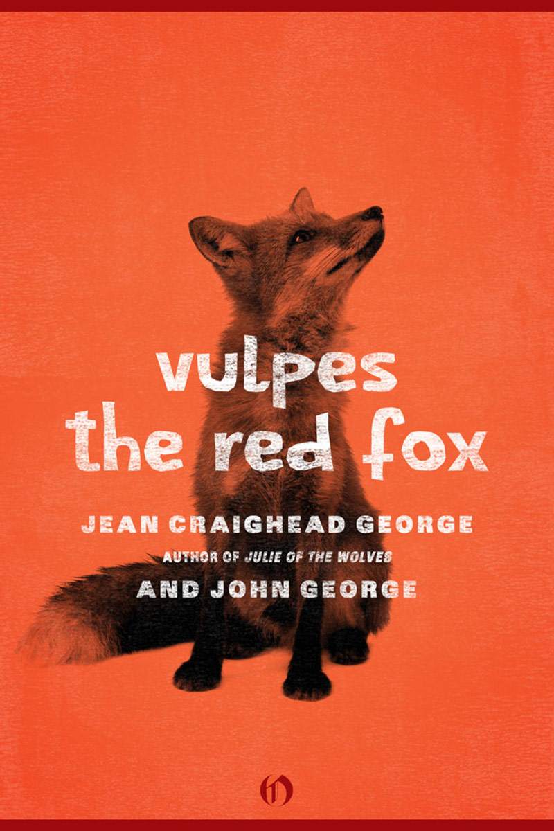 Vulpes The Red Fox George Jean Craighead George John