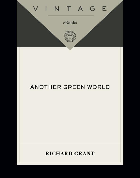 Another Green World Grant Richard