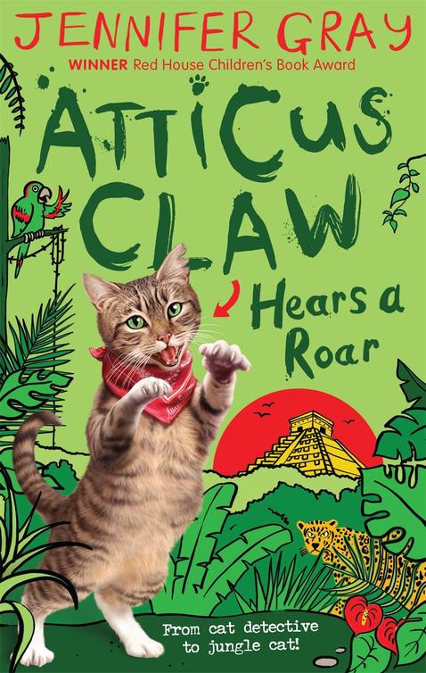 Atticus Claw Hears A Roar Gray Jennifer