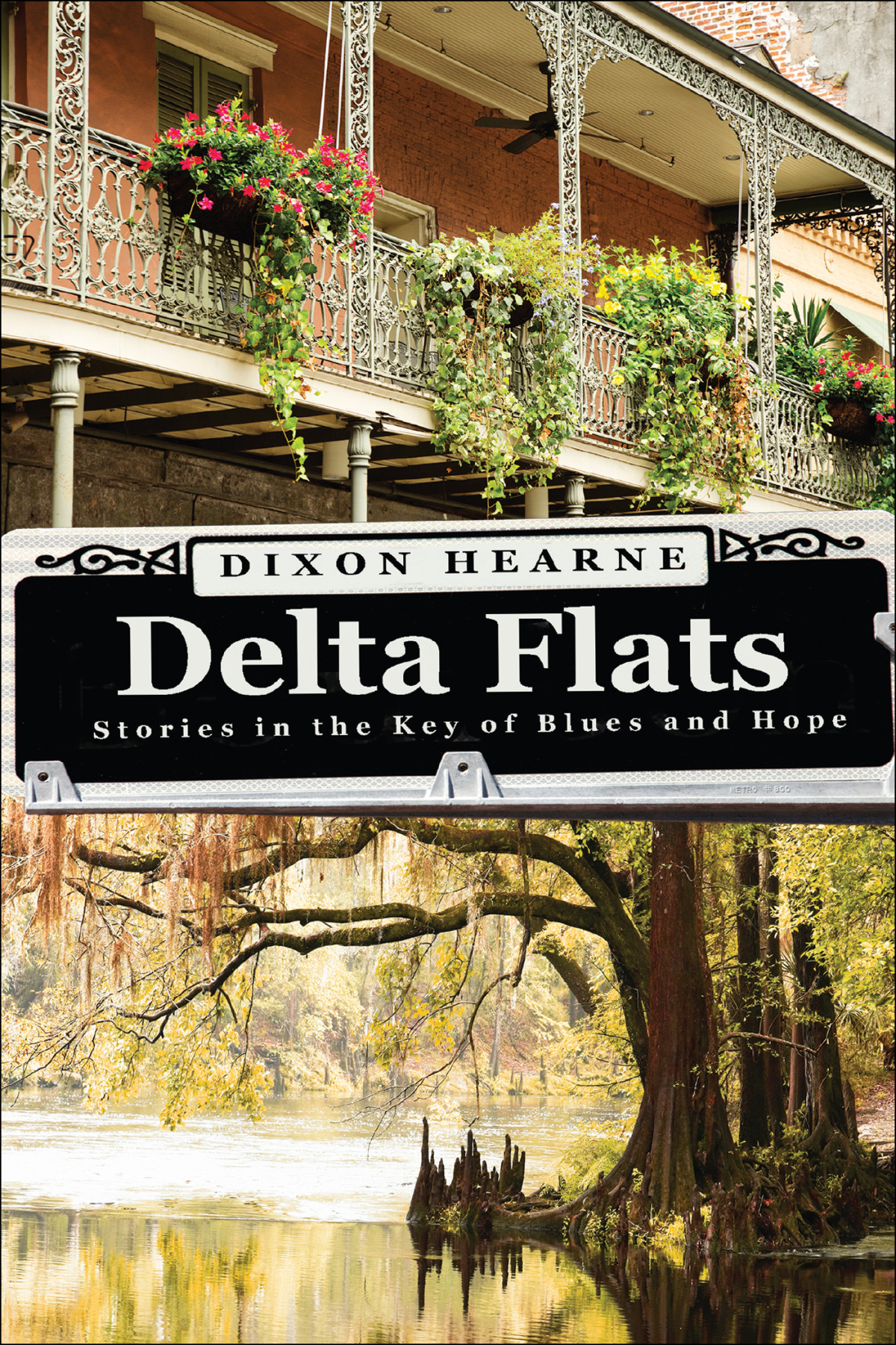 Delta Flats Stories In The Key Of Blues And Hope Hearne Dixon