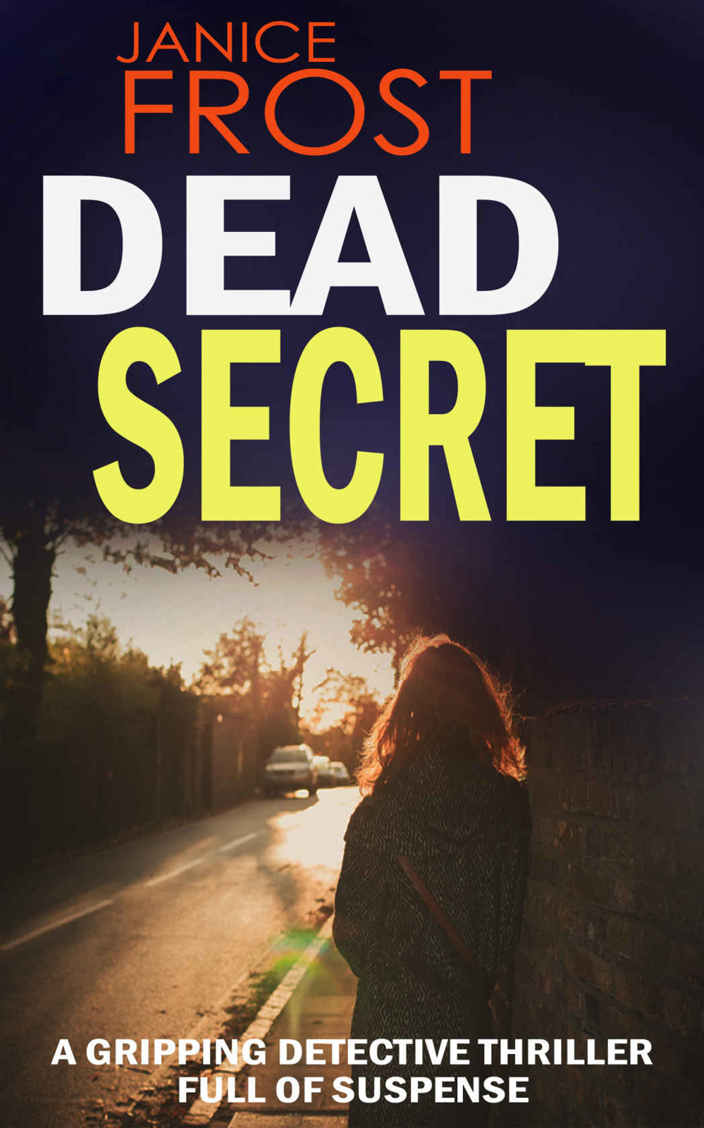 Dead Secret A Gripping Detective Thriller Full Of Suspense Frost Janice