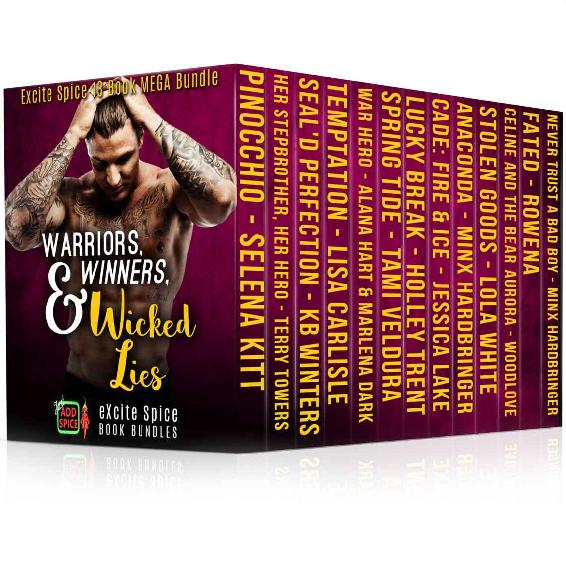 Warriorswinners Wicked Lies 13 Book Excite Spice Military Sports Secret Baby Mega Bundle 1st Edition Kitt Selena Towers Terry Winters K B Carlisle Lisa