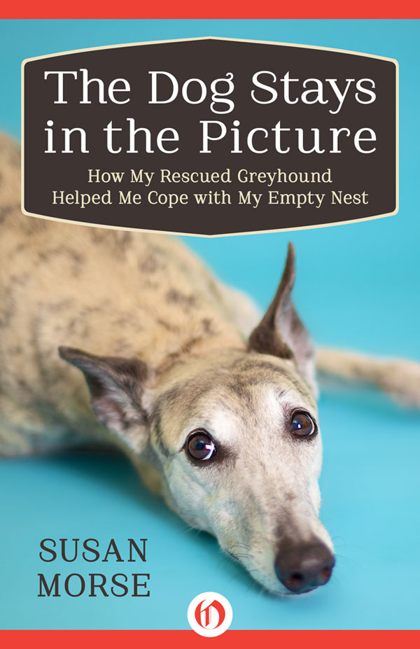 The Dog Stays In The Picture How My Rescued Greyhound Helped Me Cope With My Empty Nest Morse Susan