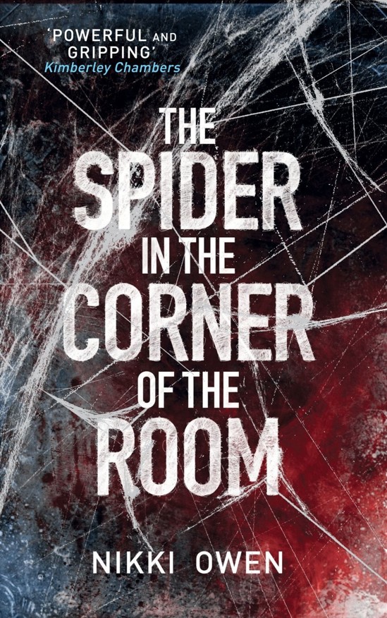 Spider In The Corner Of The Room Owen Nikki