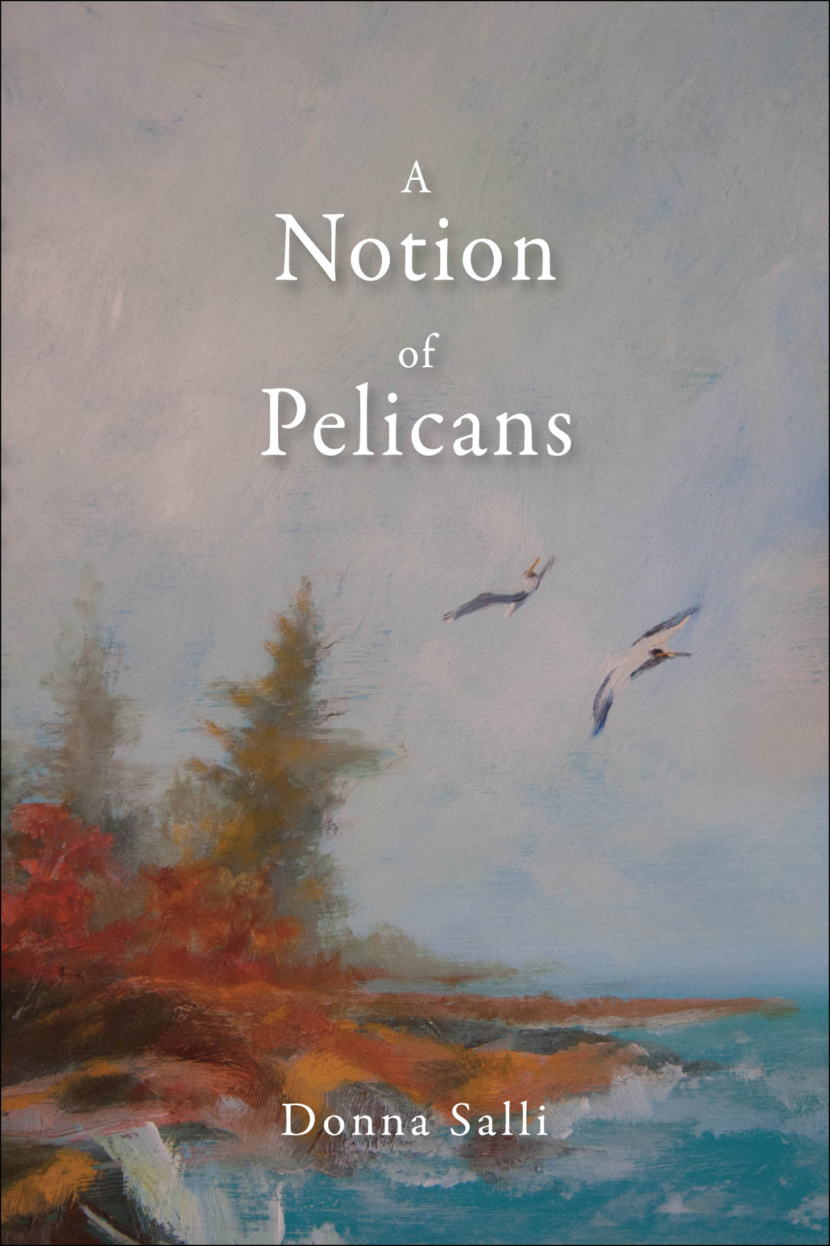 A Notion Of Pelicans Salli Donnna