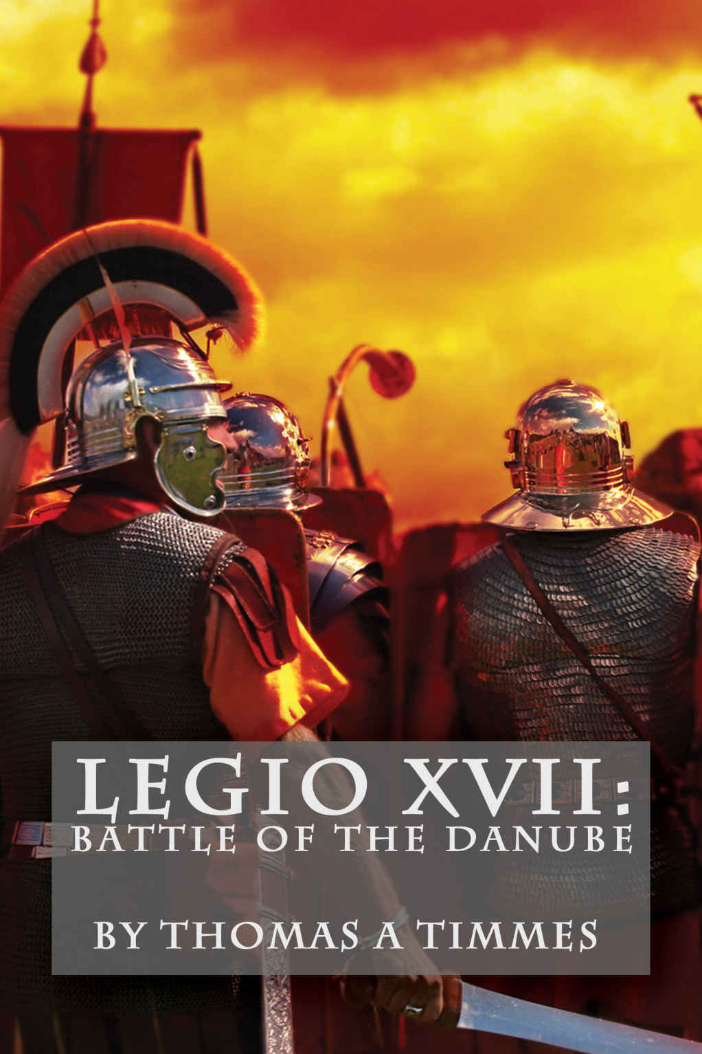 Battle Of The Danube Timmes Thomas A