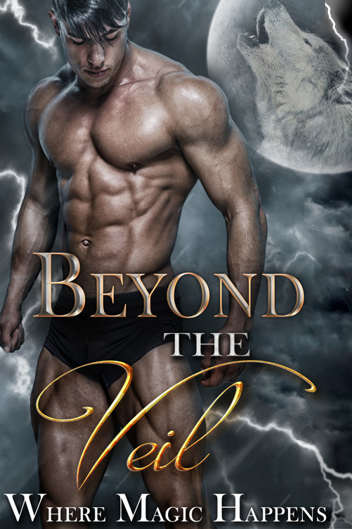 Beyond The Veil 1st Edition Various Authors