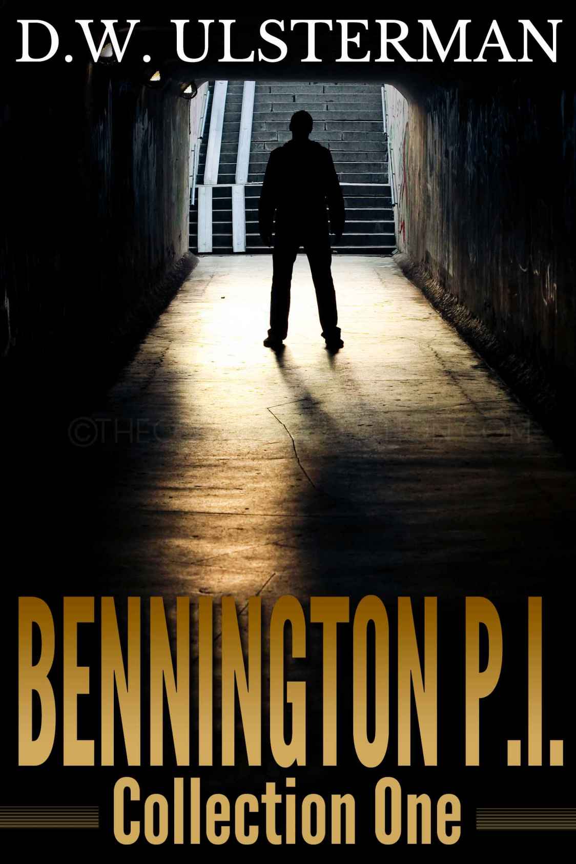 The Bennington Pi Collection Ulsterman D W
