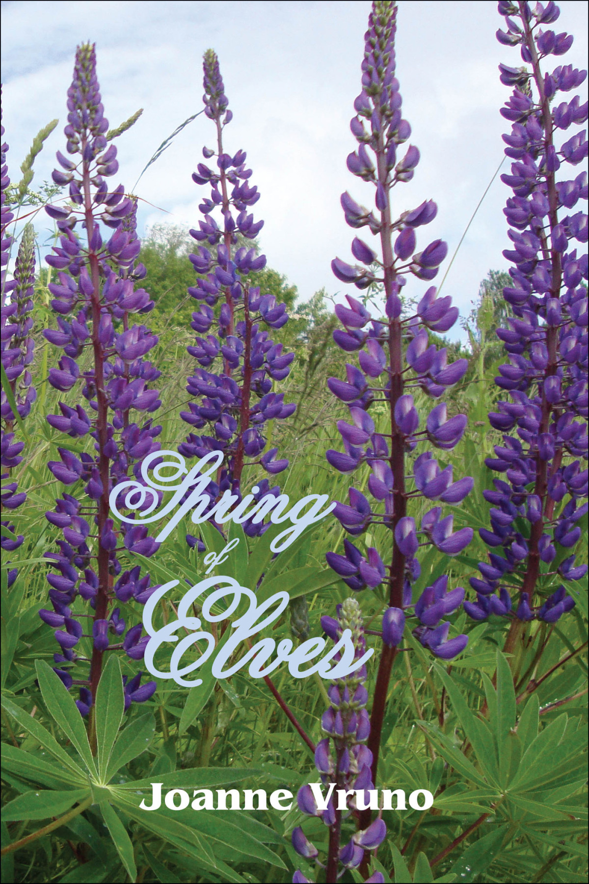 Spring Of Elves Vruno Joanne
