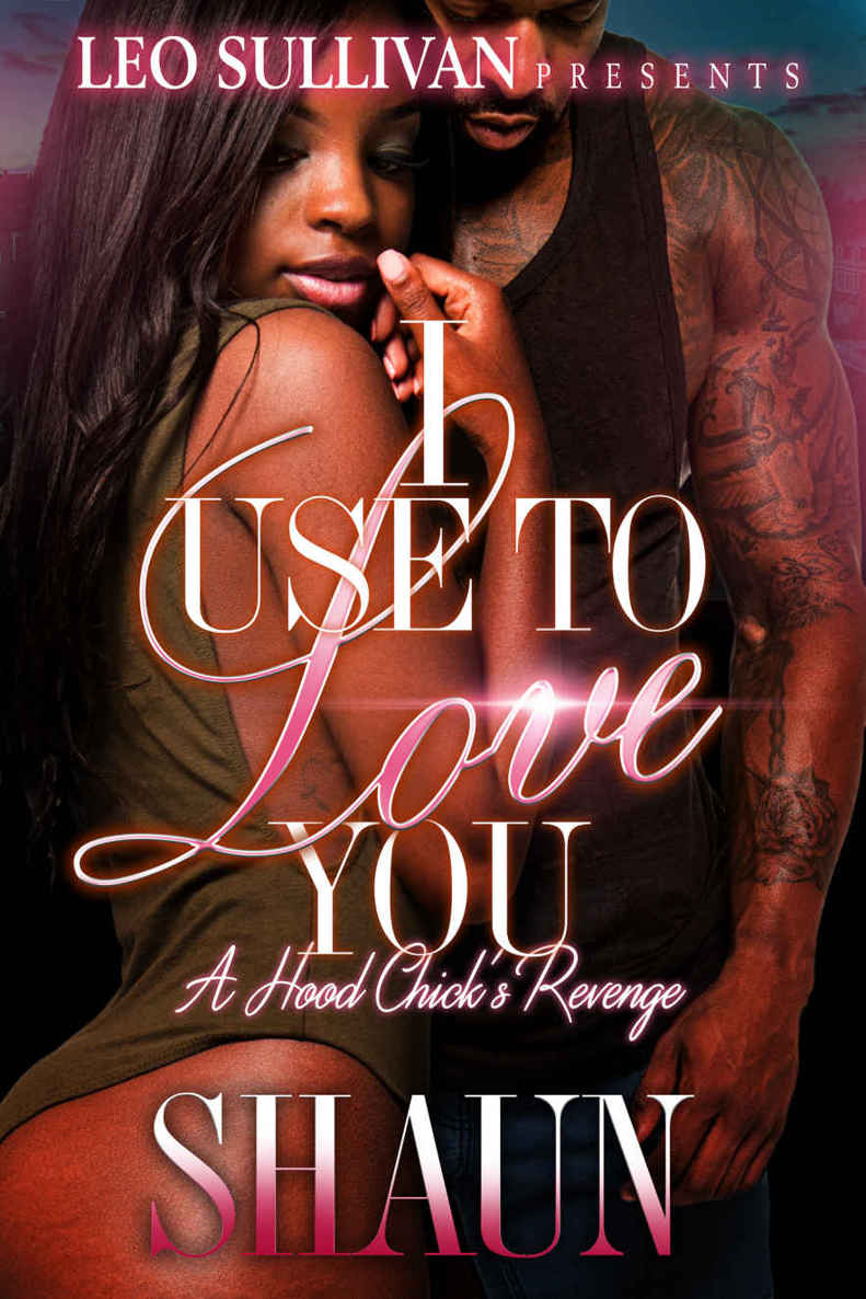 I Use To Love You A Hood Chicks Revenge Wanzo Shaun