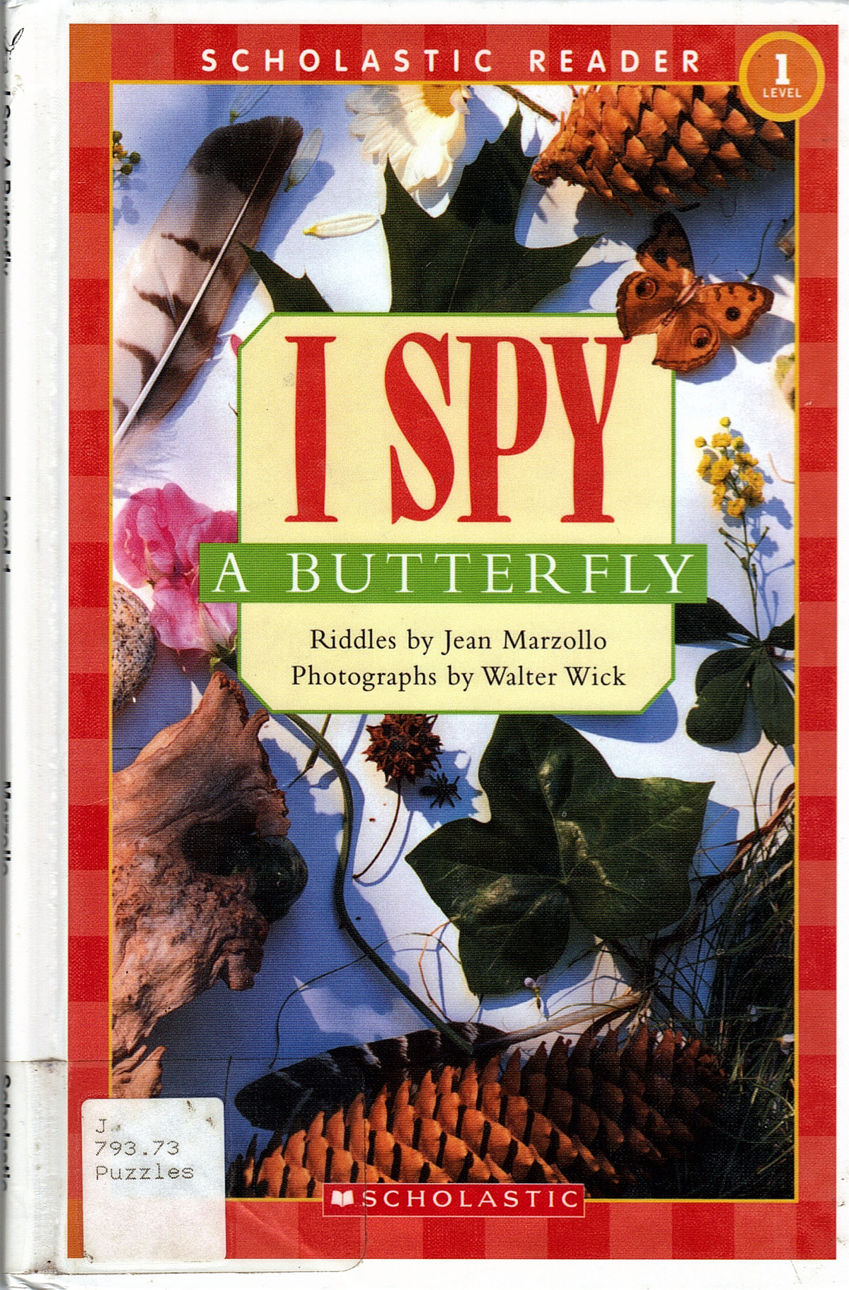 I Spy A Butterfly