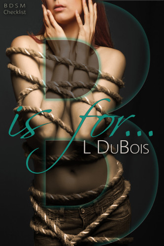 B Is For Bdsm Checklist 2 1st Edition Lila Dubois