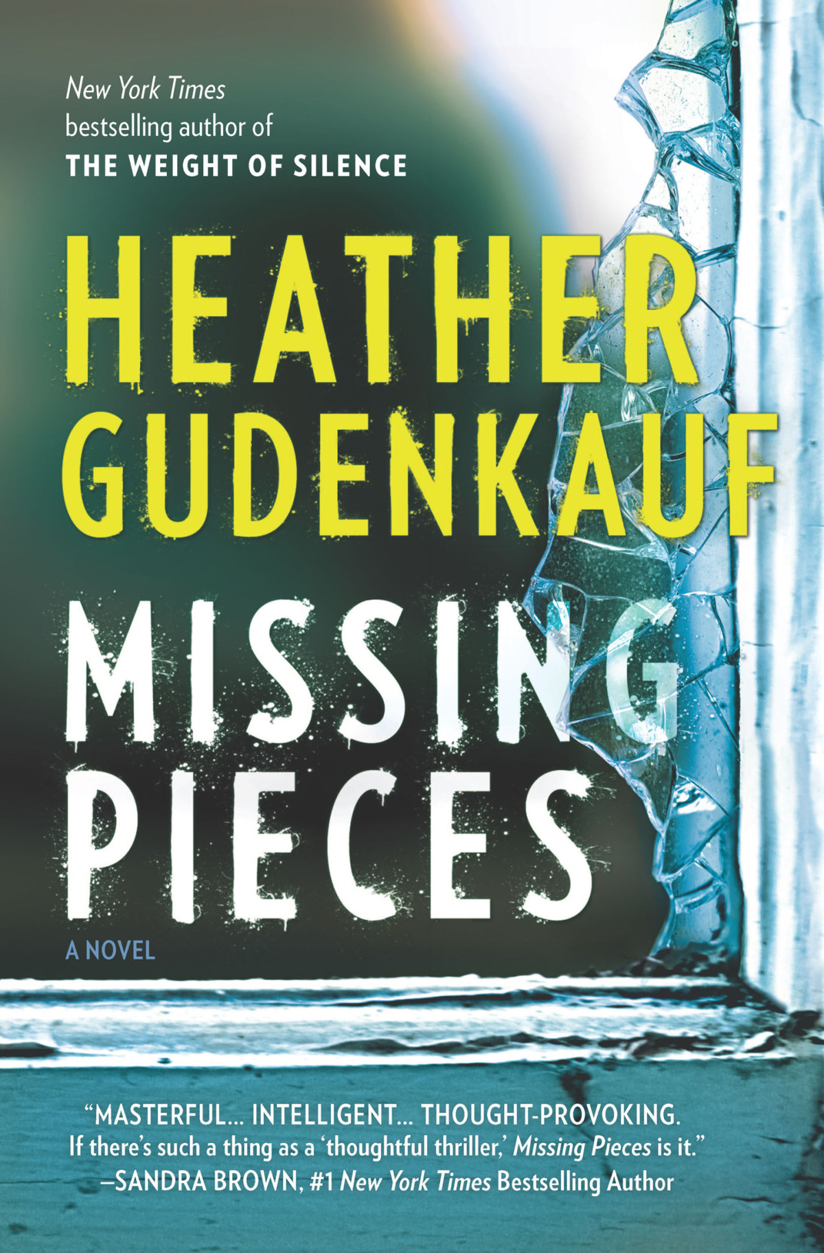 Missing Pieces Gudenkauf Heather